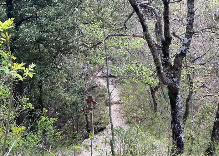 Salinello Beer Baita Affittacamere